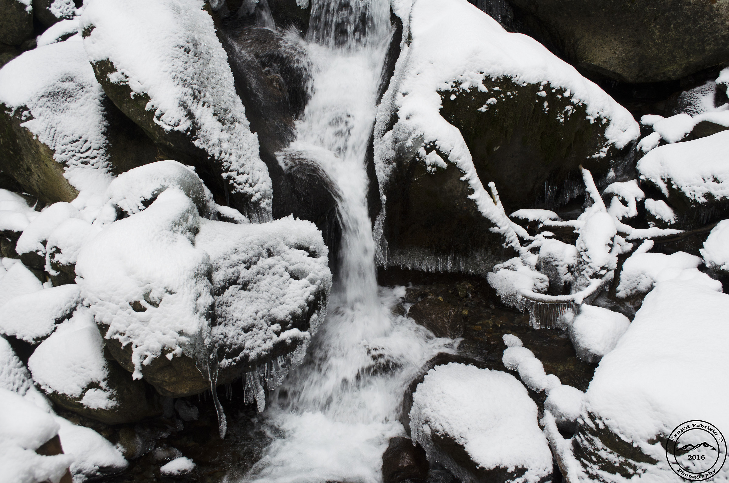 The beauty of the ice