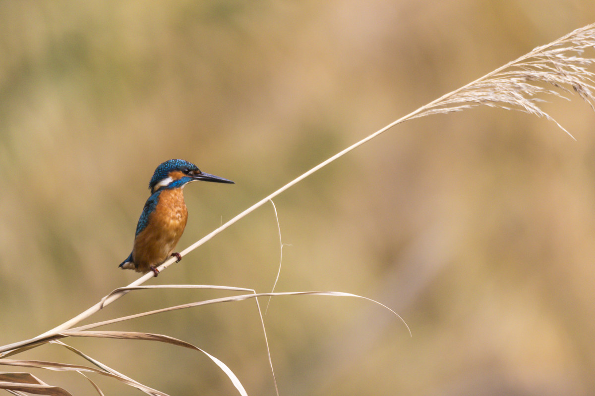 what are you thinking about??