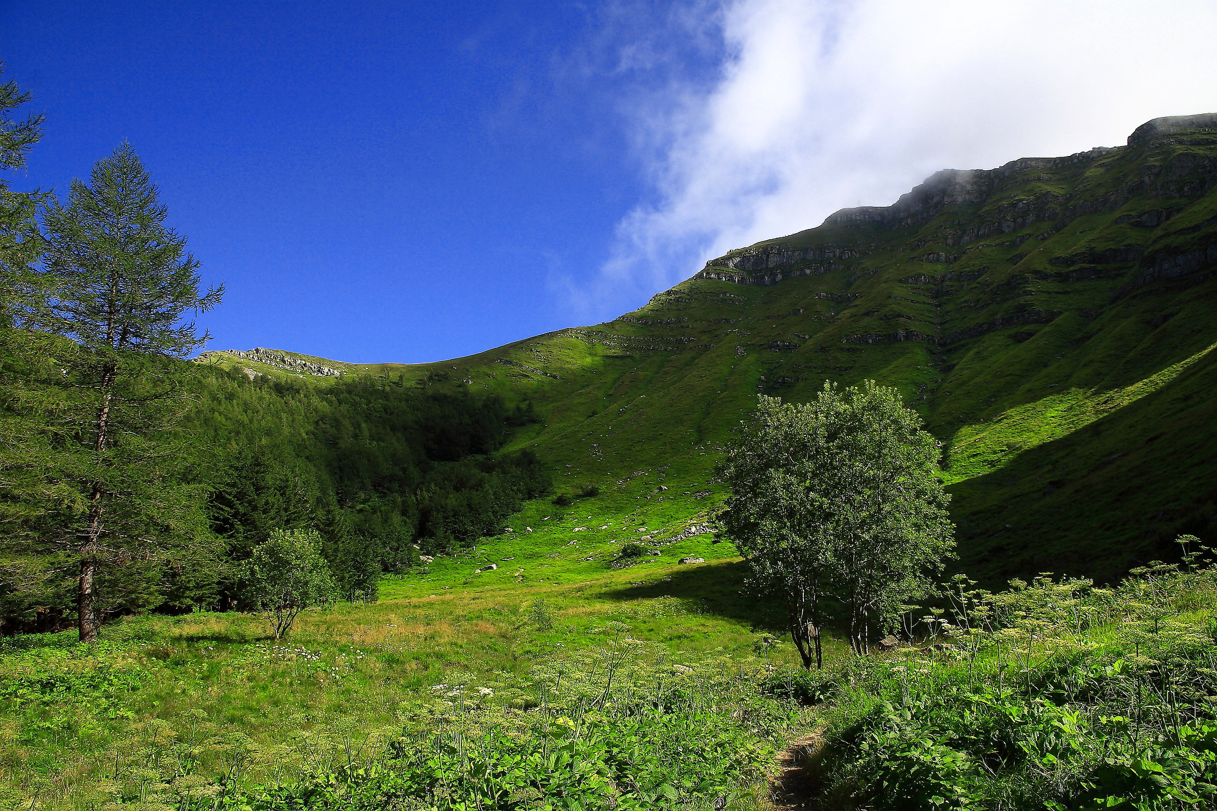 Towards the ridge ...