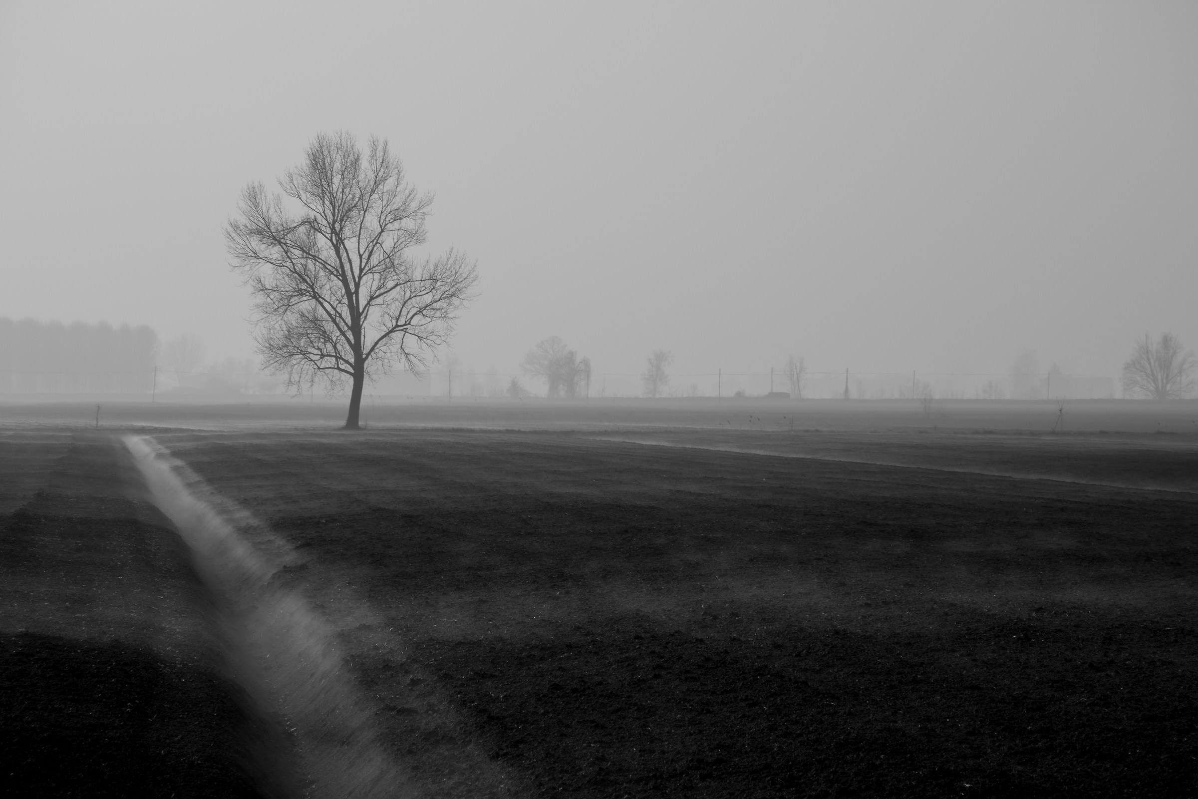 Nebbia in pianura 5