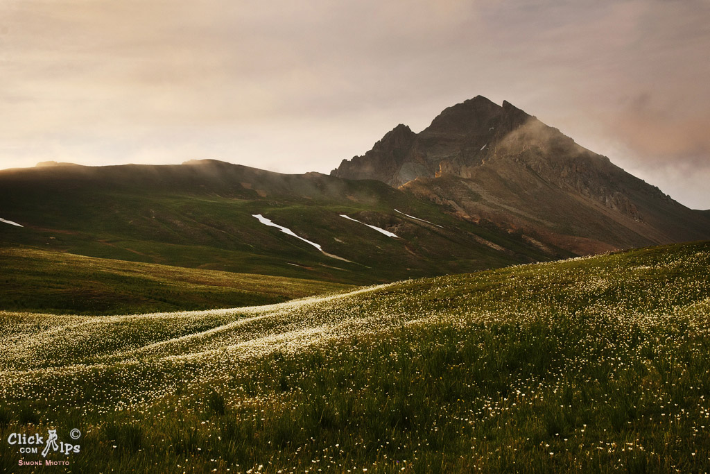 Grazing light on the fields