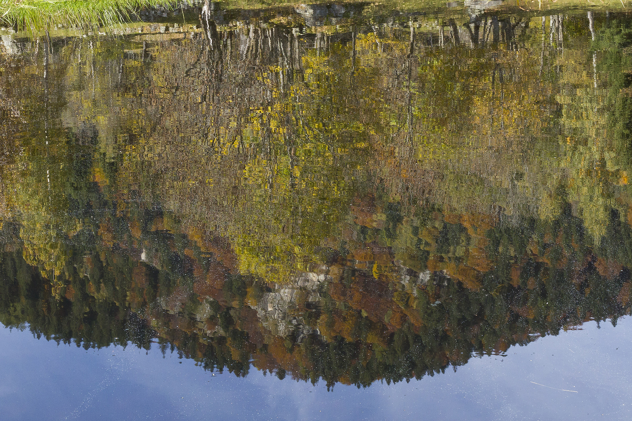 reflection autumn