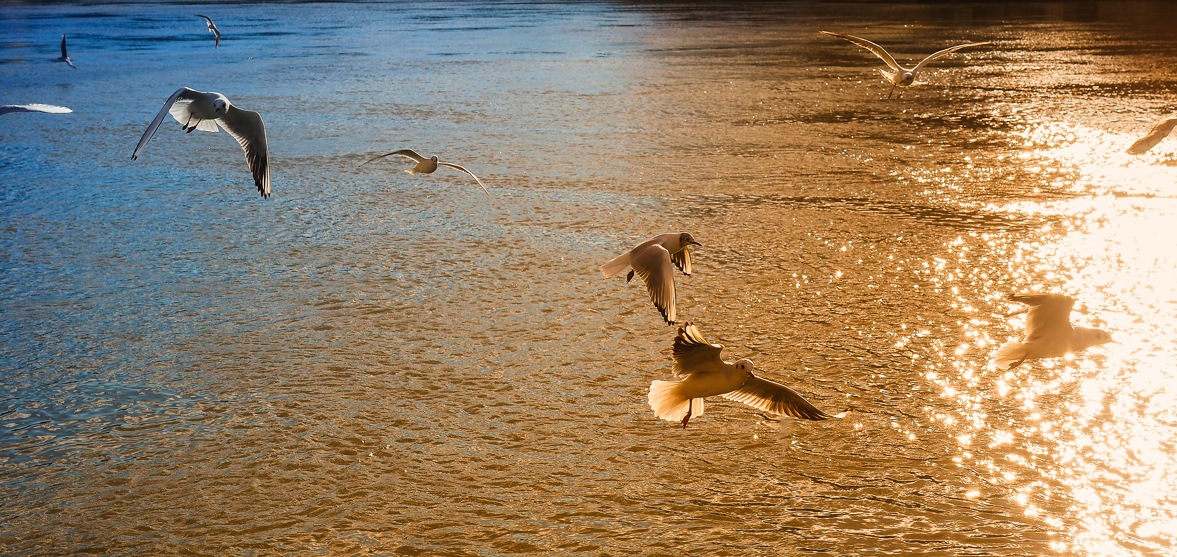 da un riflesso all'altro in volo
