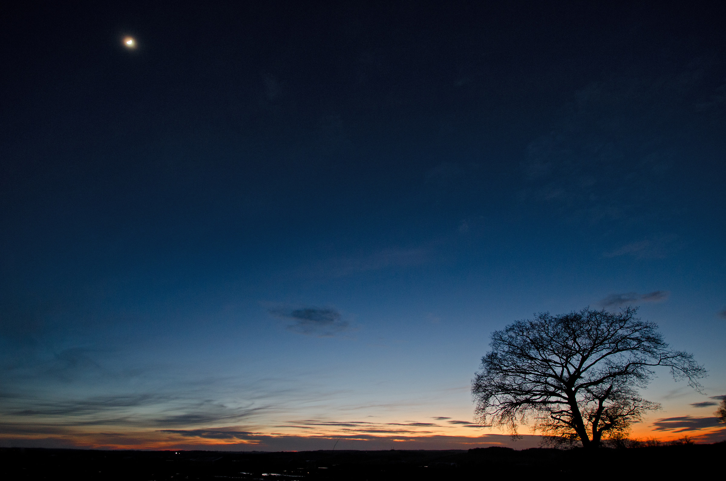 Sunset Tree and Moon!