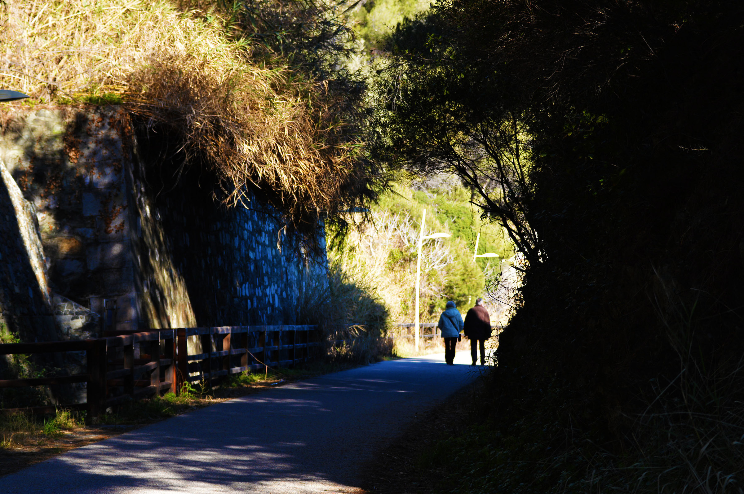 a big heart in nature