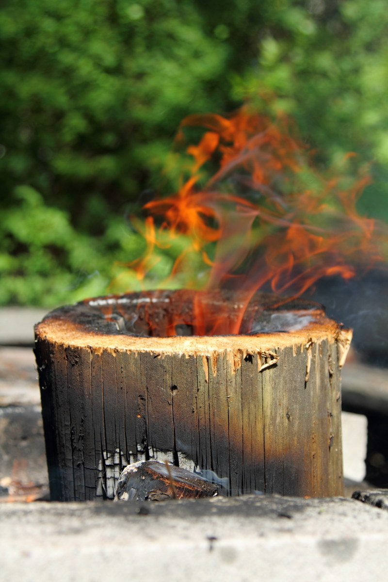 Waiting for the Summer