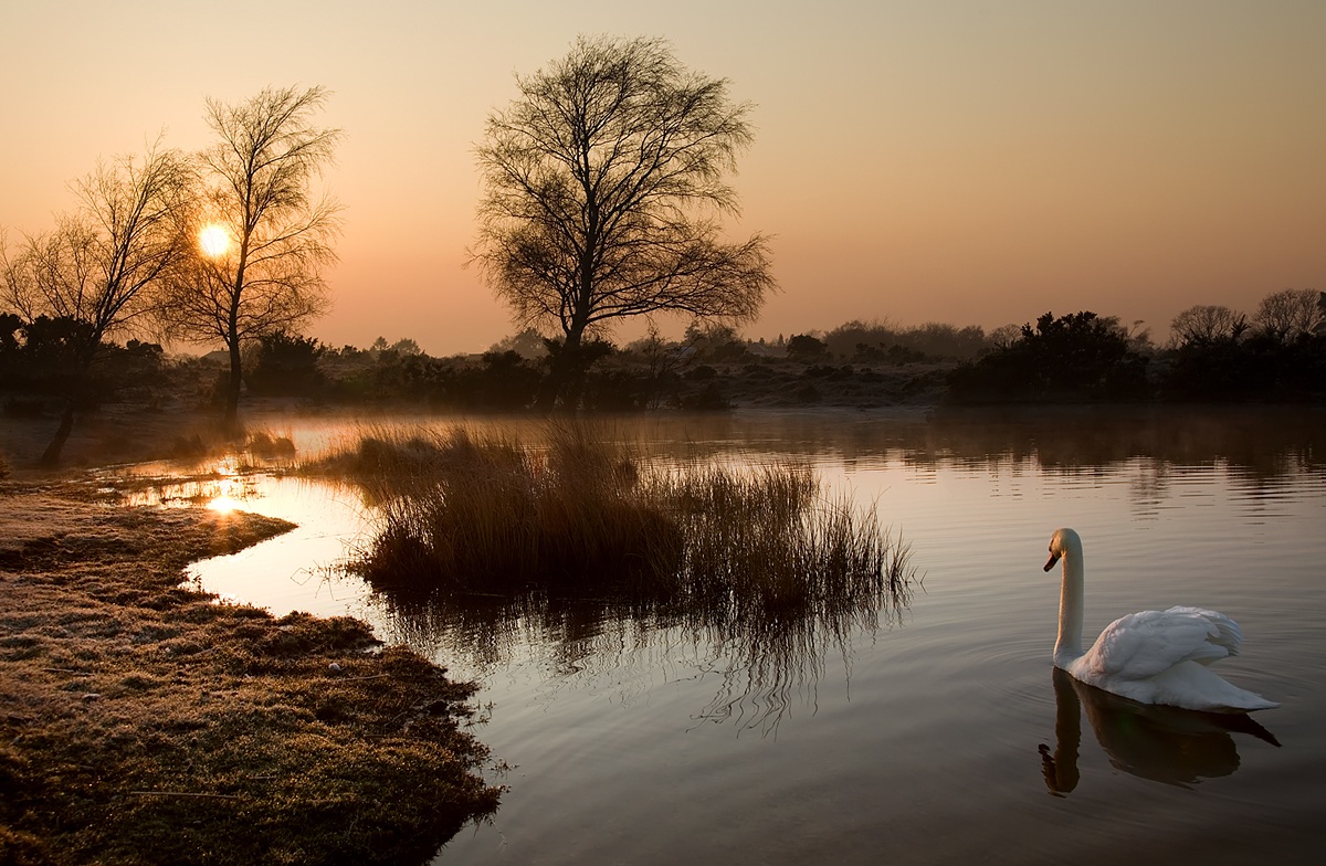 Following the Misty Sun