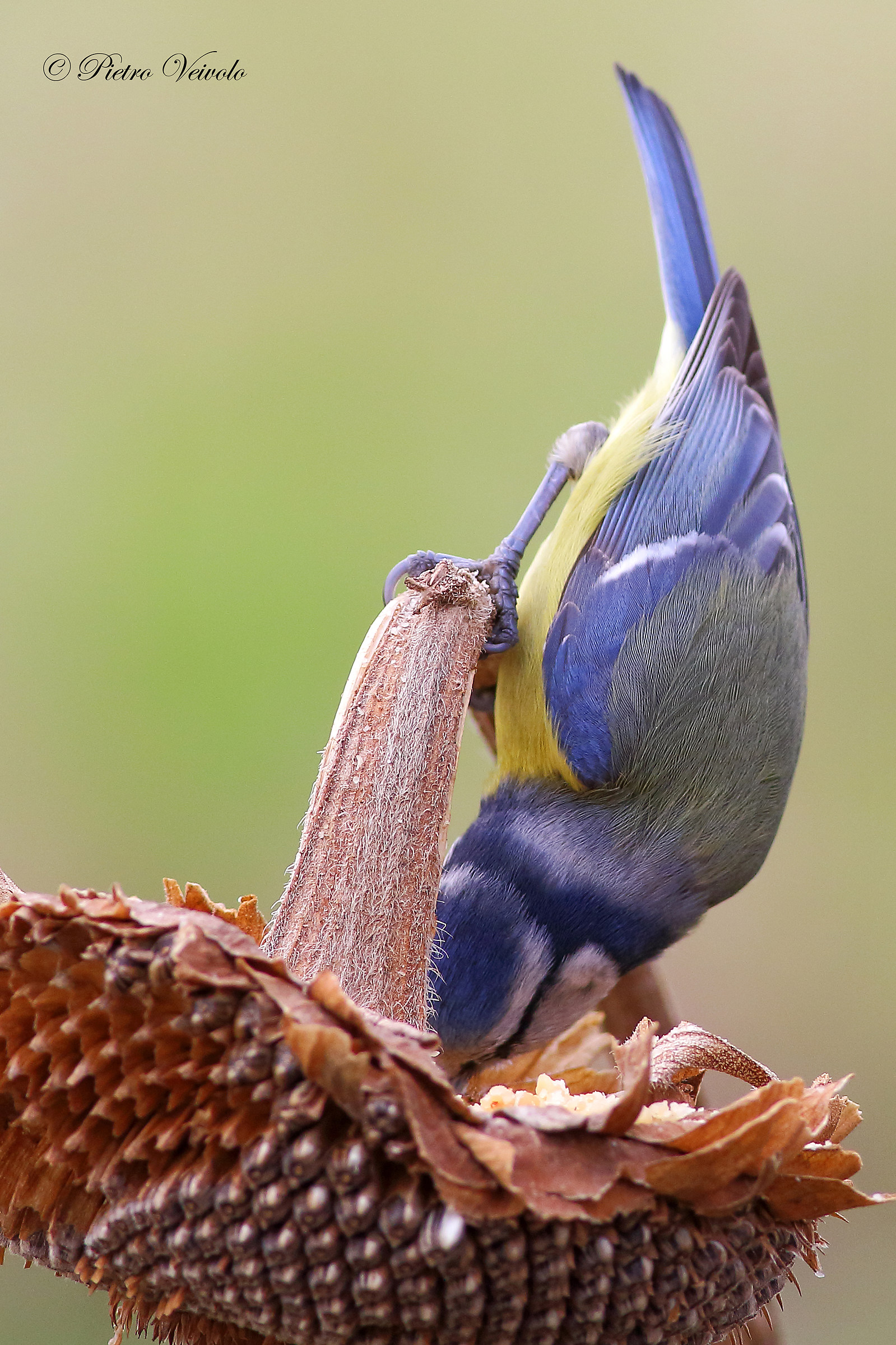 Let's see what's ...