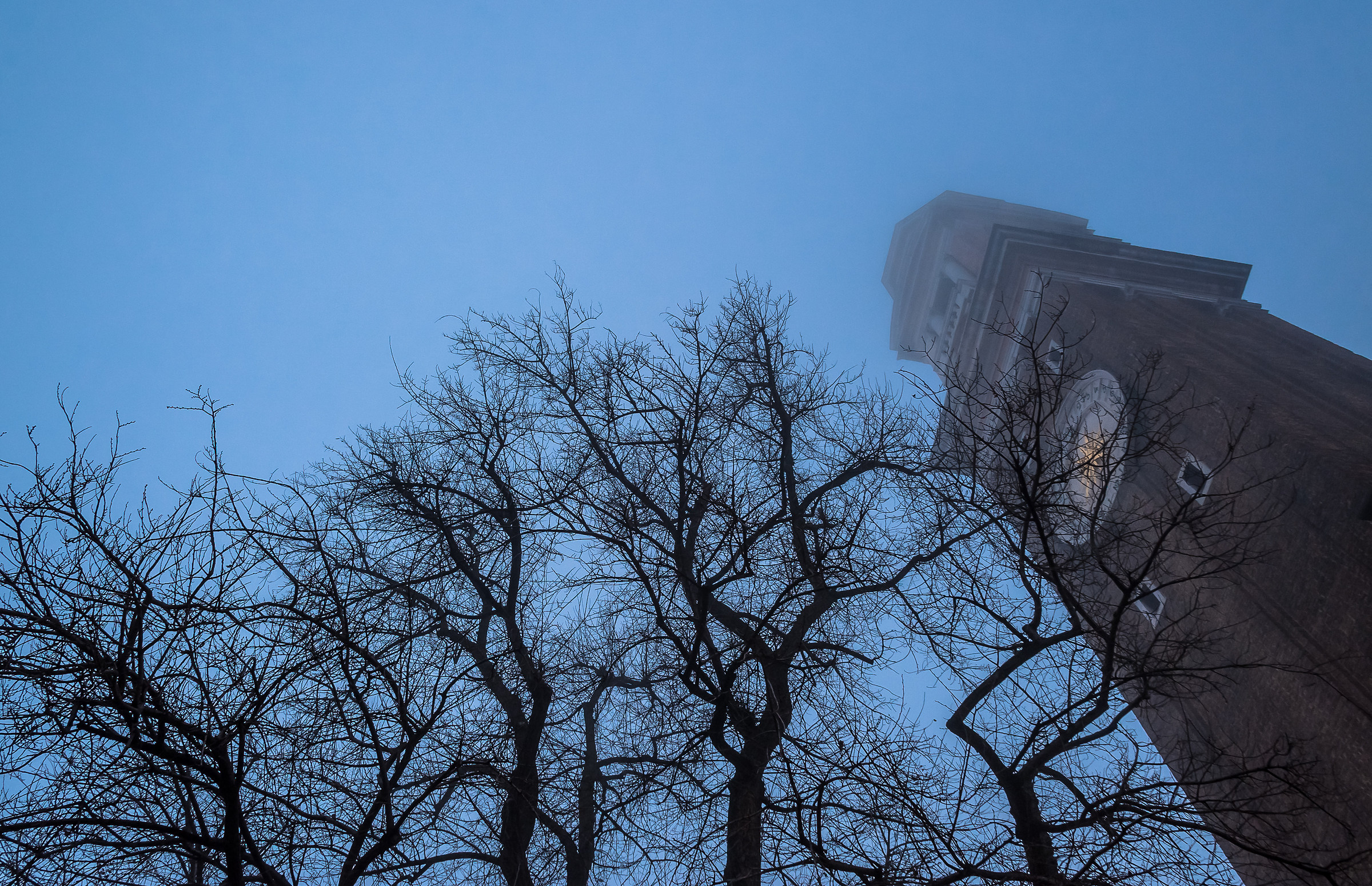 The Guardian del Campo and his squires