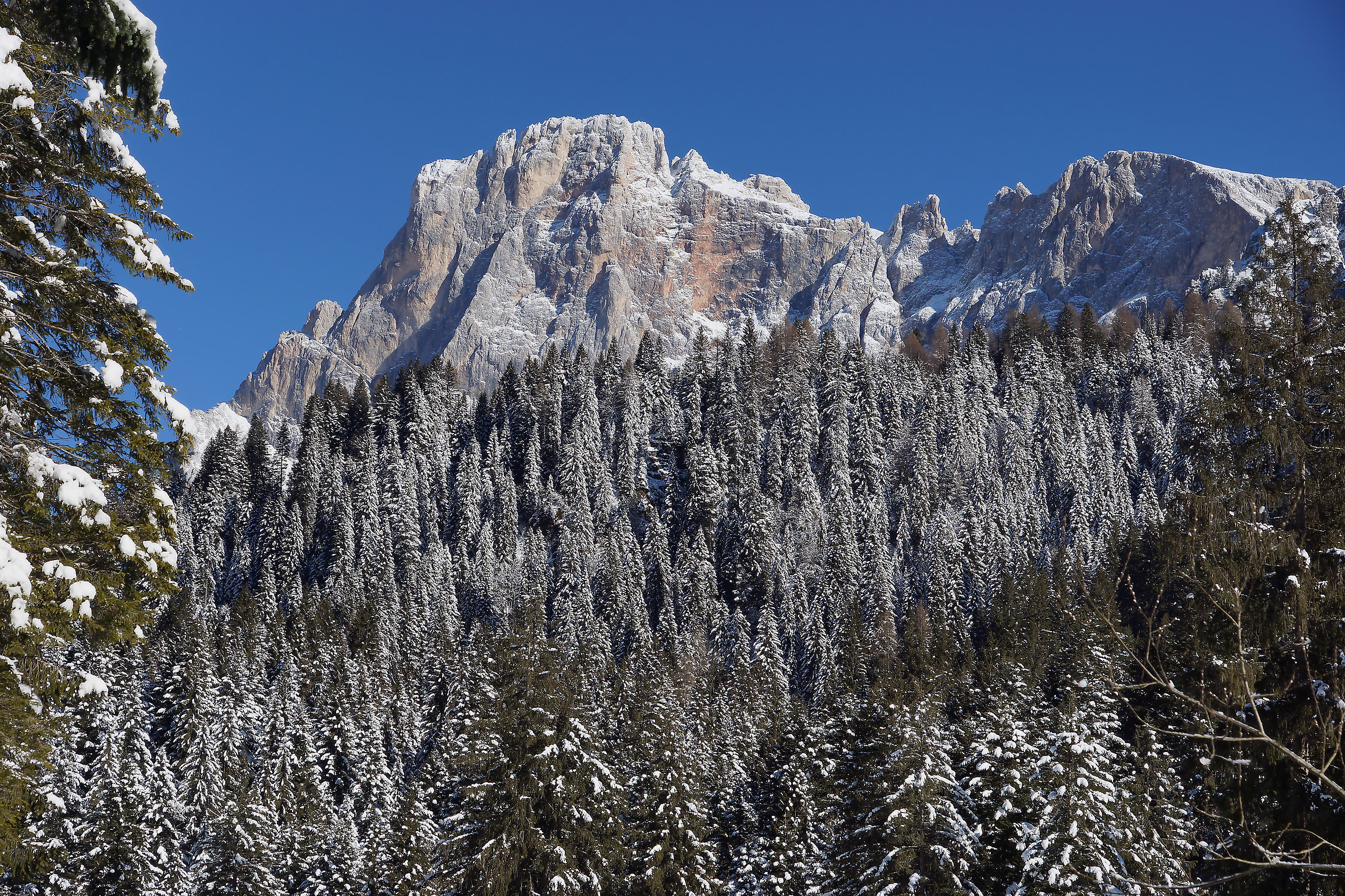 la prima vera nevicata del 2016