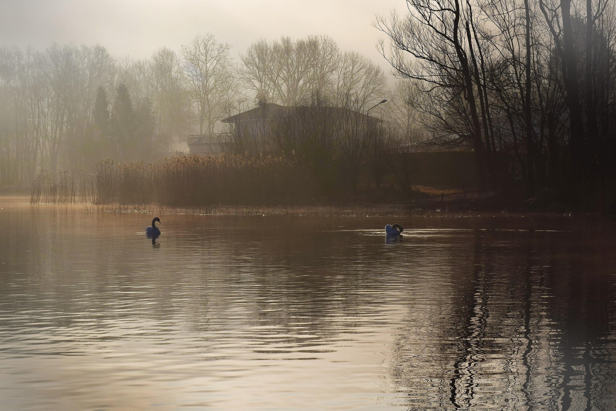 quadro impressionista #2