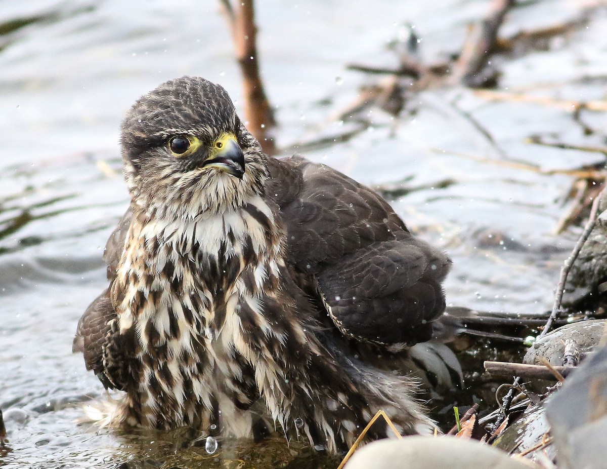 Un altro bagno sguardo