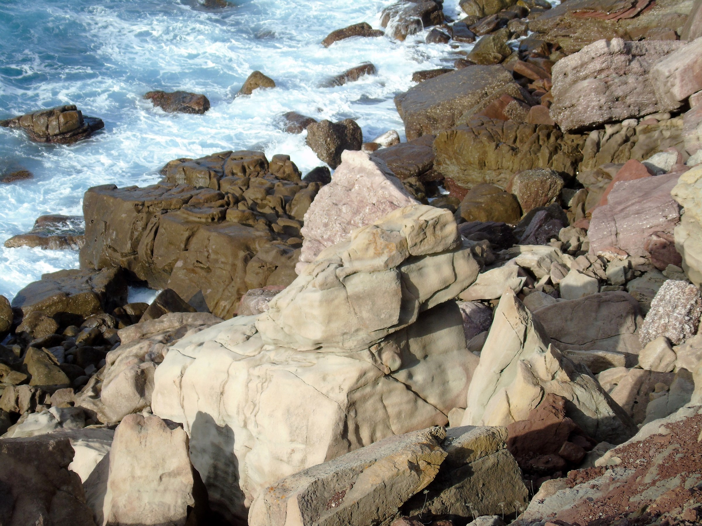 toh...un cane fra le rocce