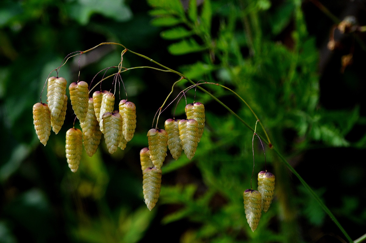 nature's magnificence