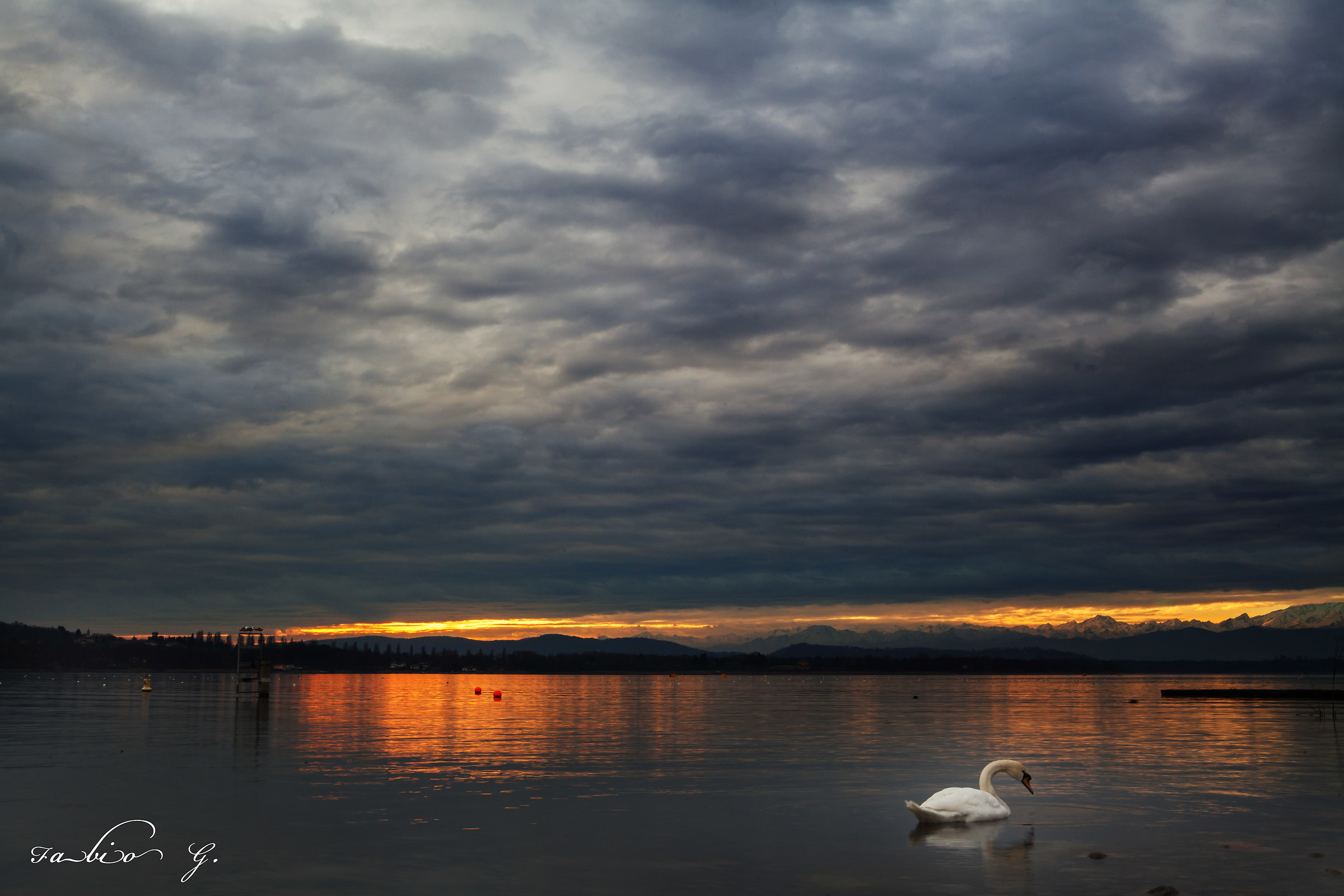 a classic "TIMELESS"