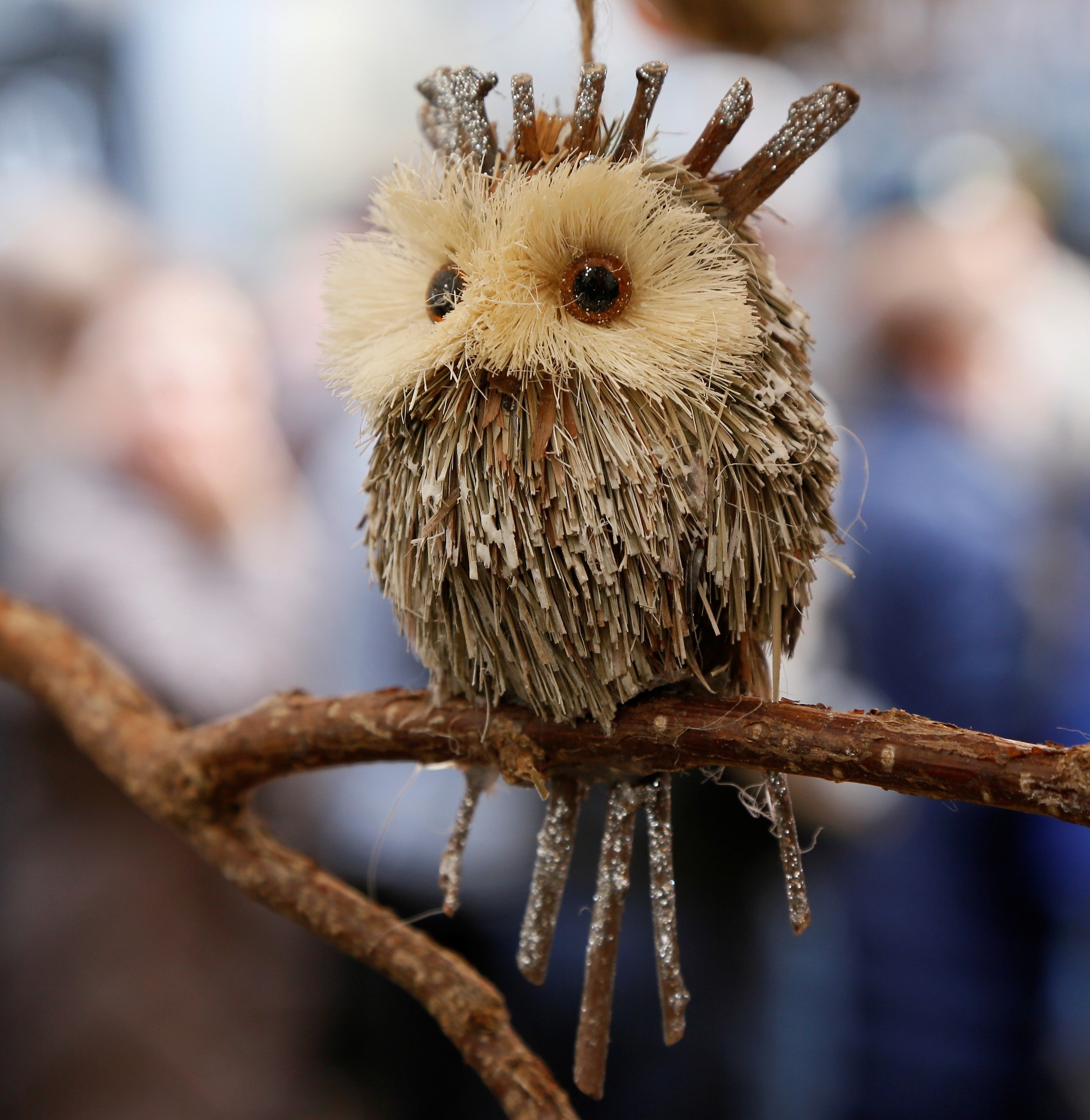 Owl taken at the San Faustino -Bs- fair