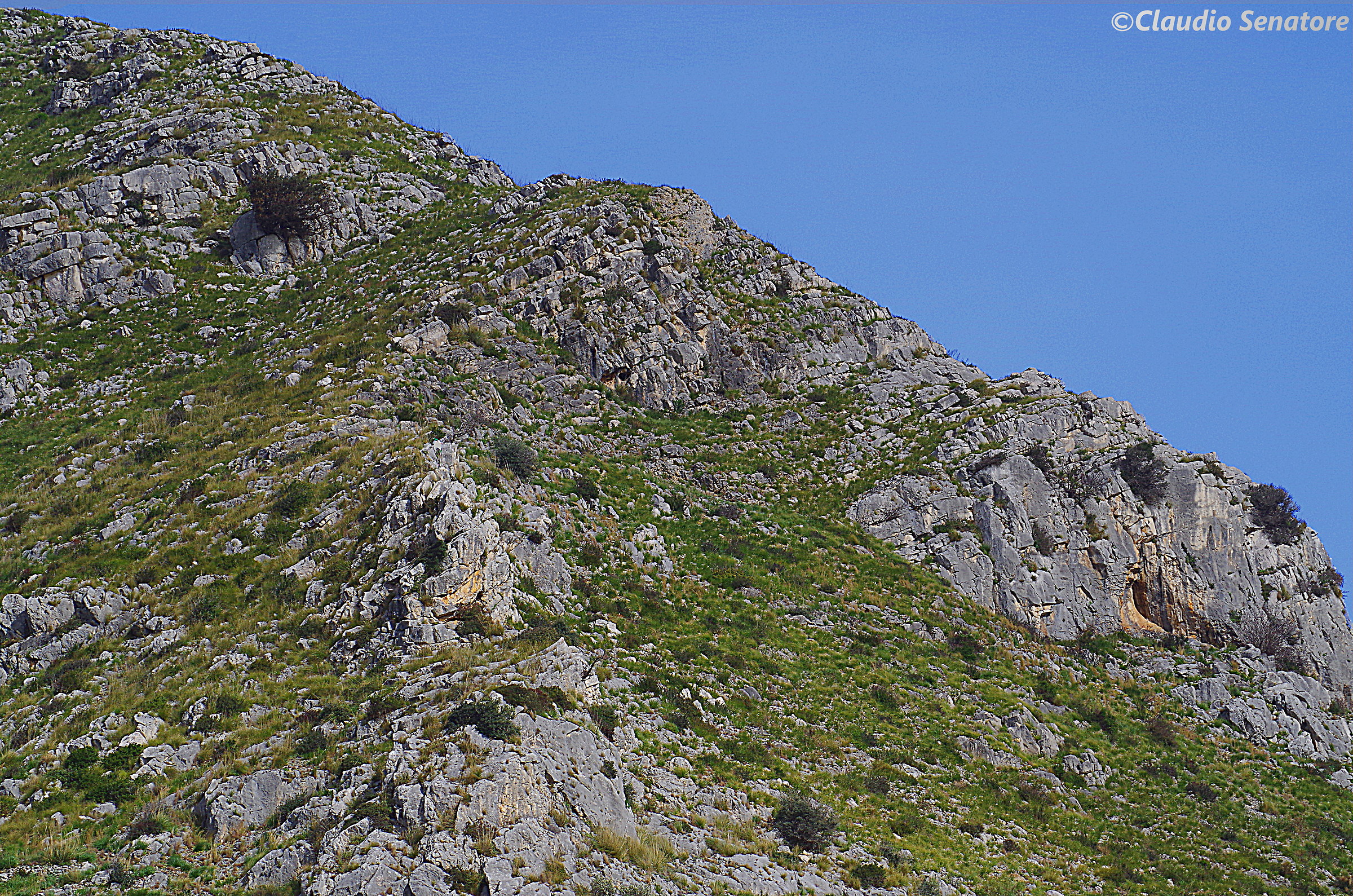 Una delle prime foto!