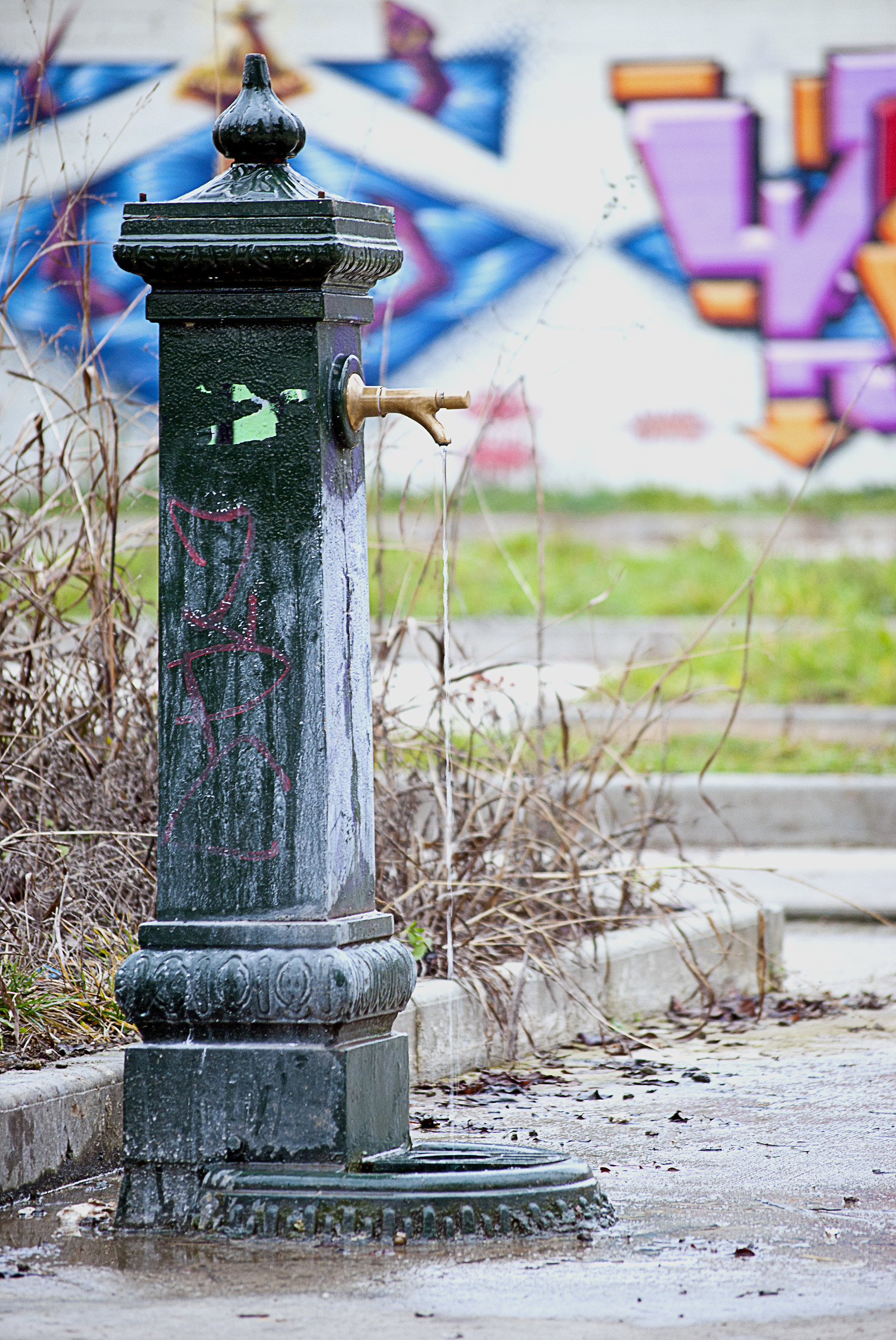 Turin, Dora Toret Park