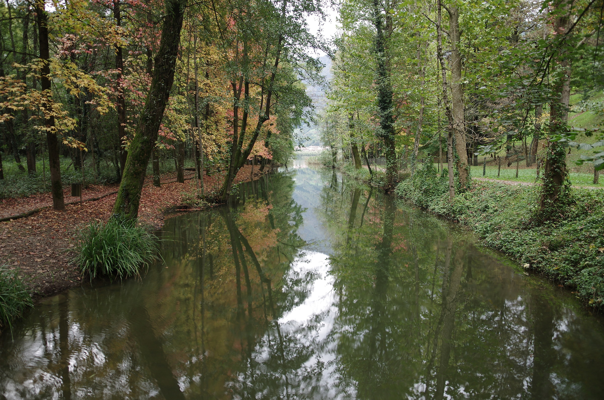 Reflections on Cherio