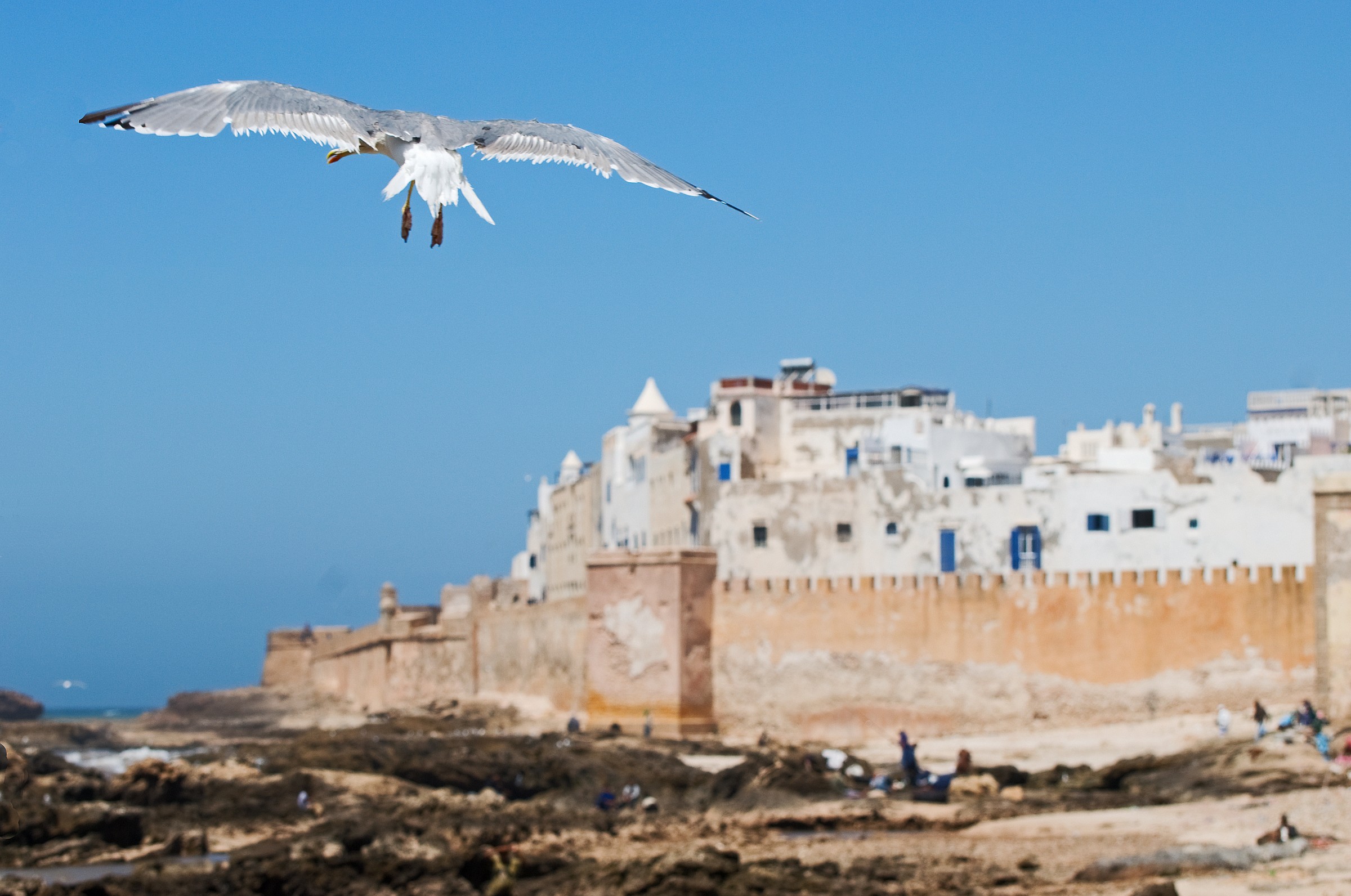 Essaouira