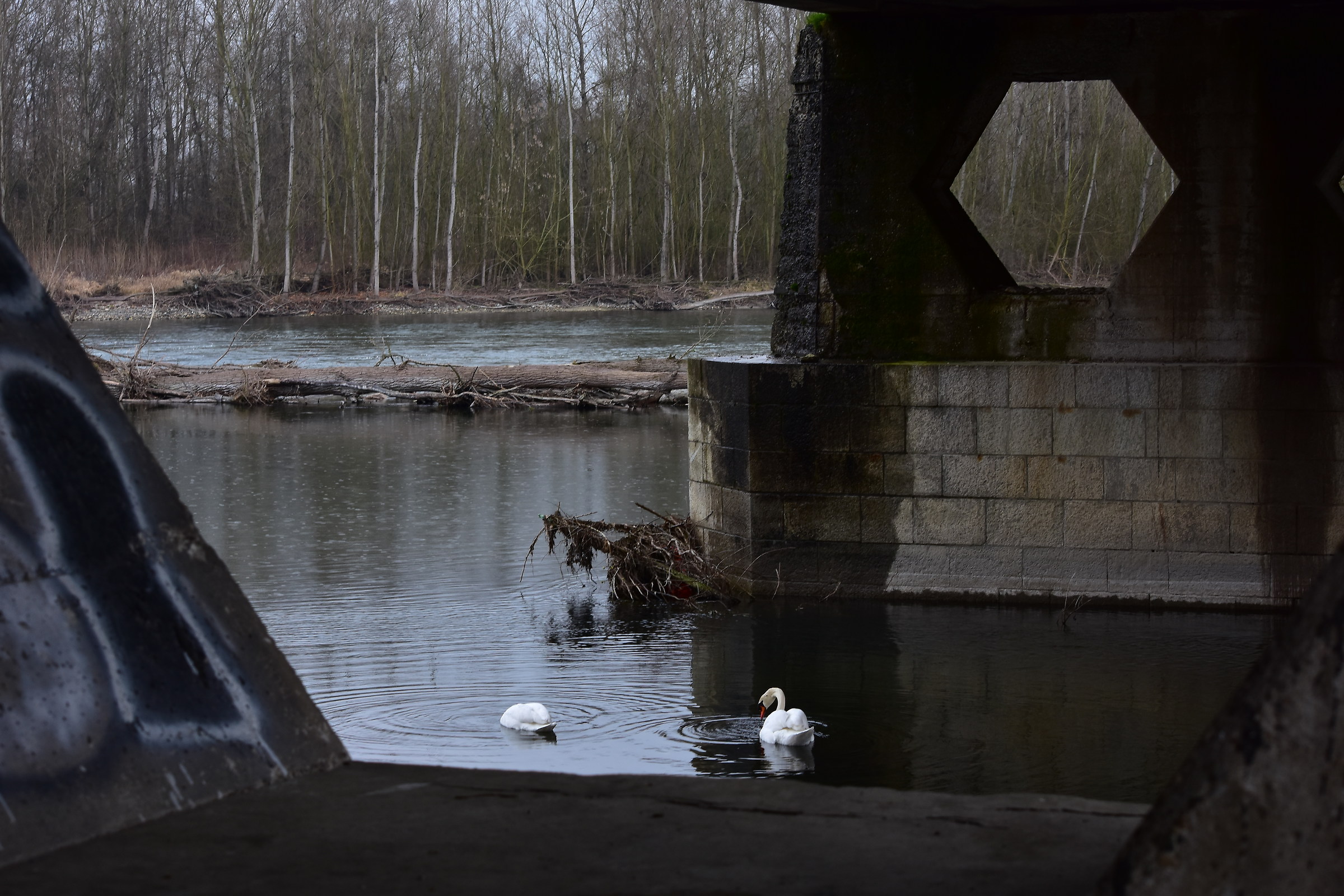 Spiando dall'esagono