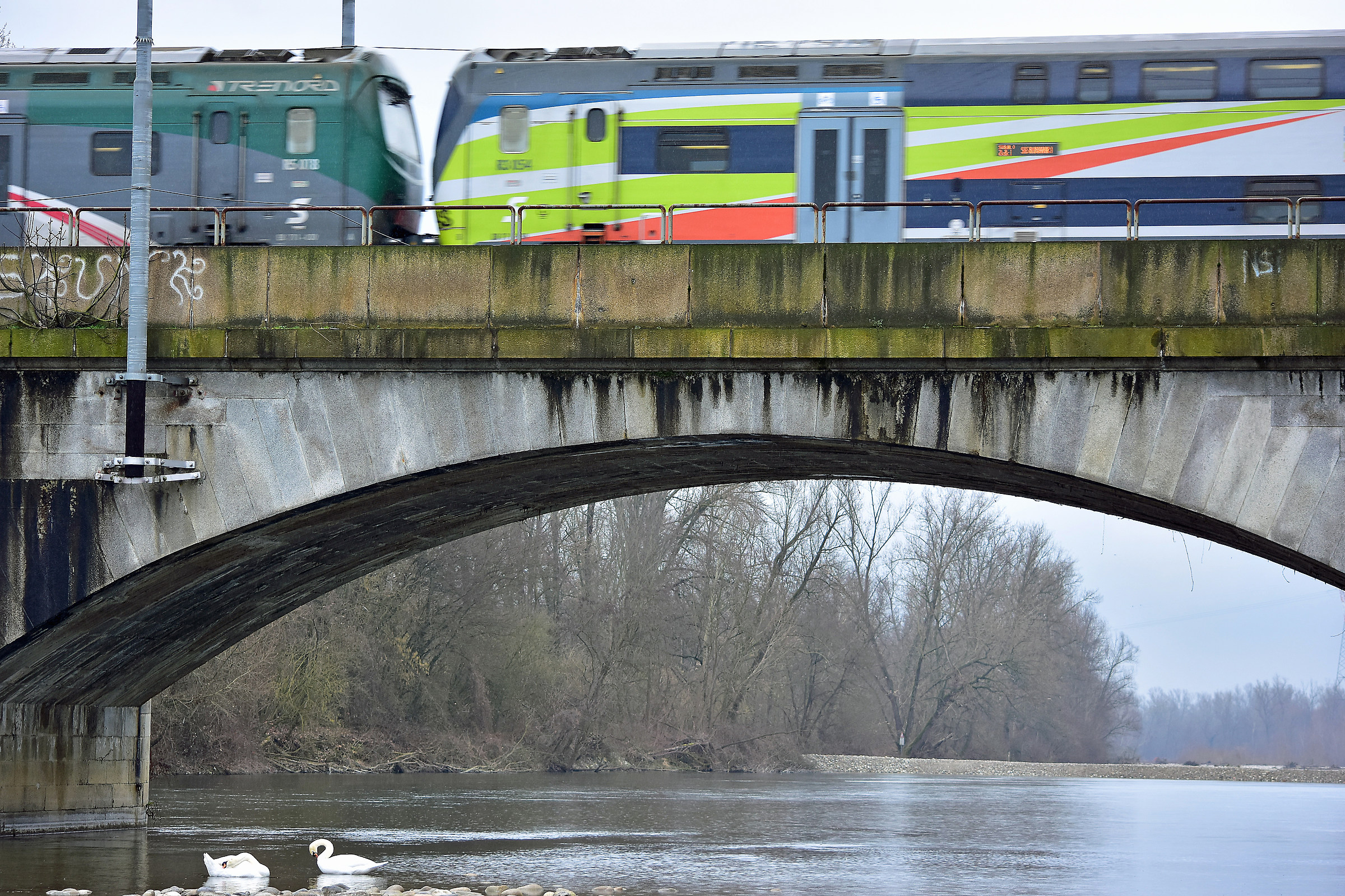 Incontri ravvicinati