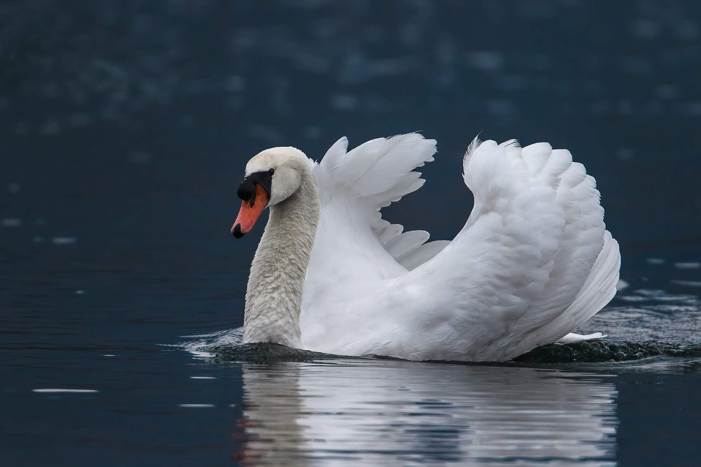 Spavaldo e Baldanzoso