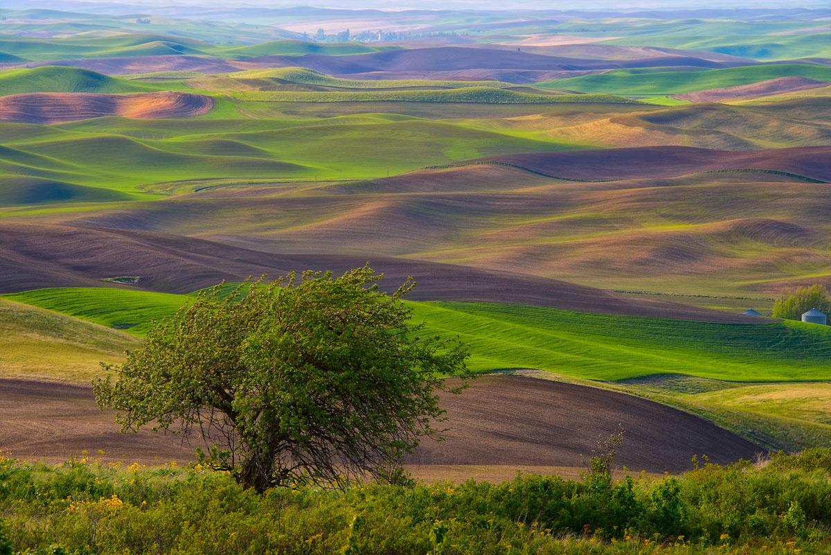Steptoe Butte, Palouse (sunset) , WA