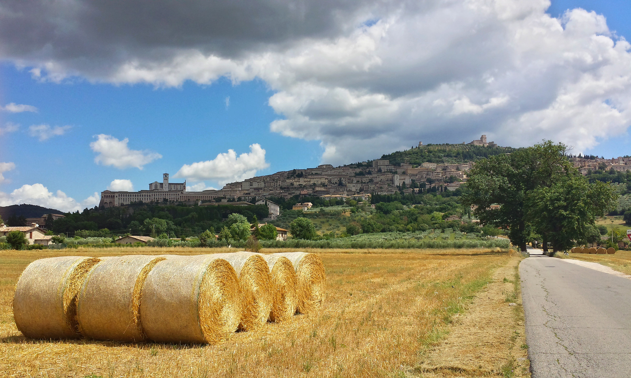 Assisi and the grain