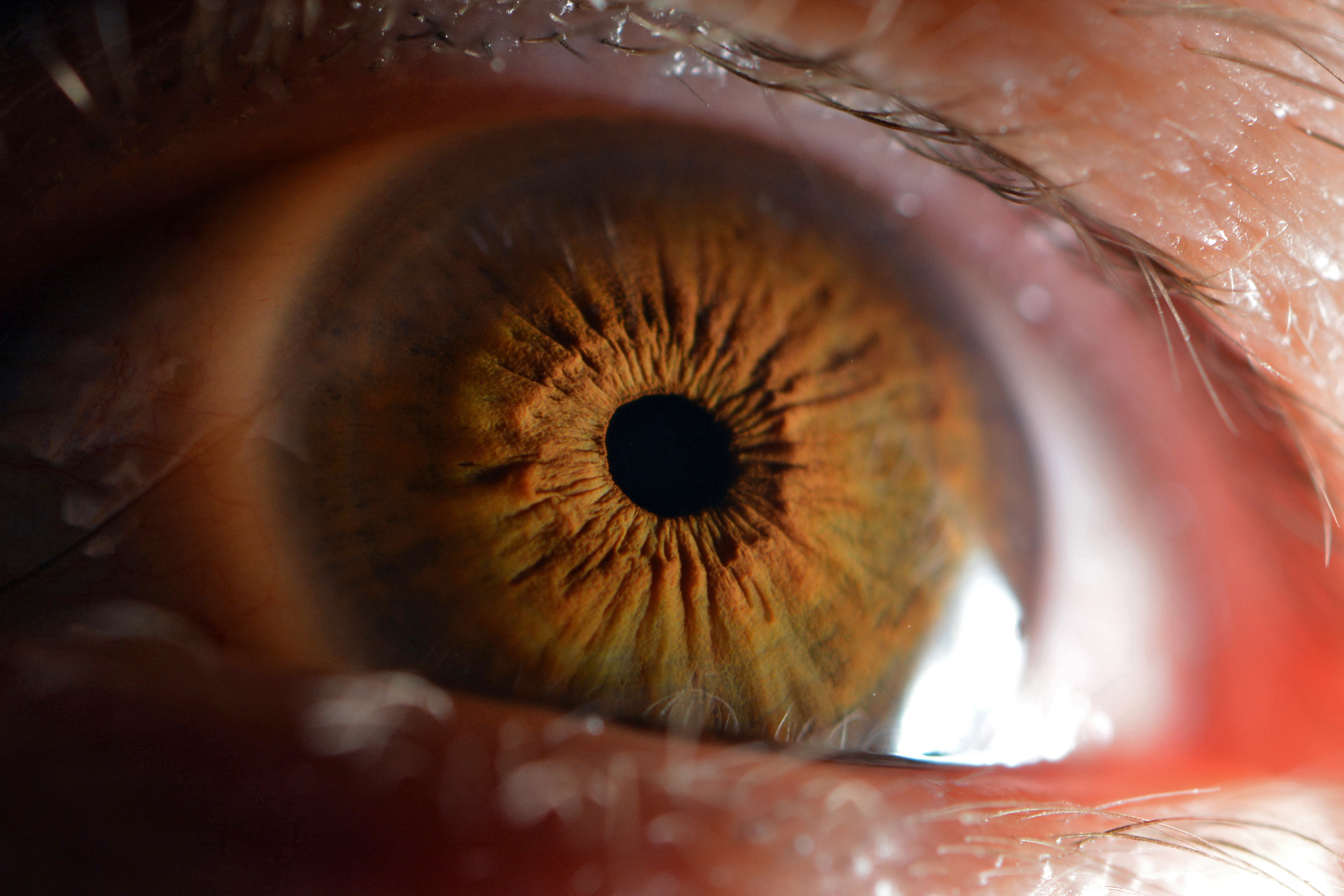 Occhio seconda prova