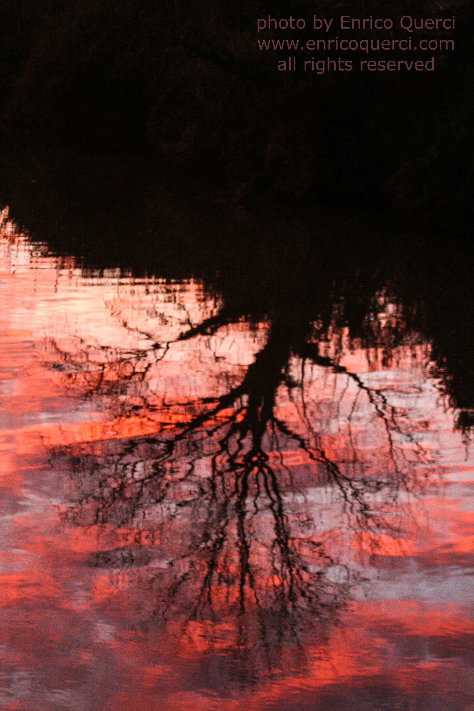 Tramonto sull'Arno - 8