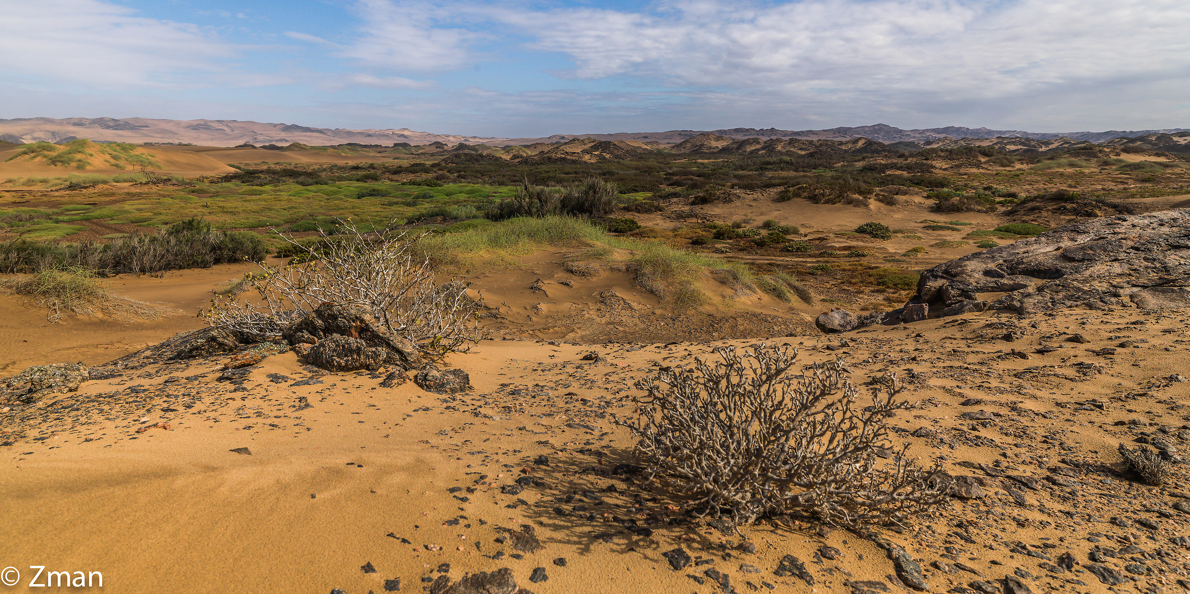 Namib Desert
