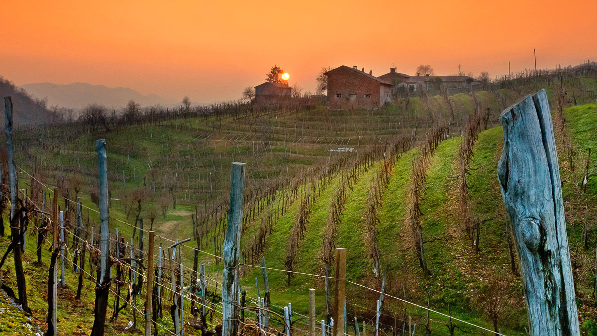 the vineyards of Valdobbiadene