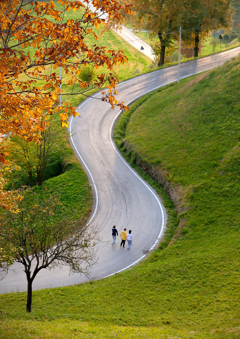 Castles of Monfumo (TV)