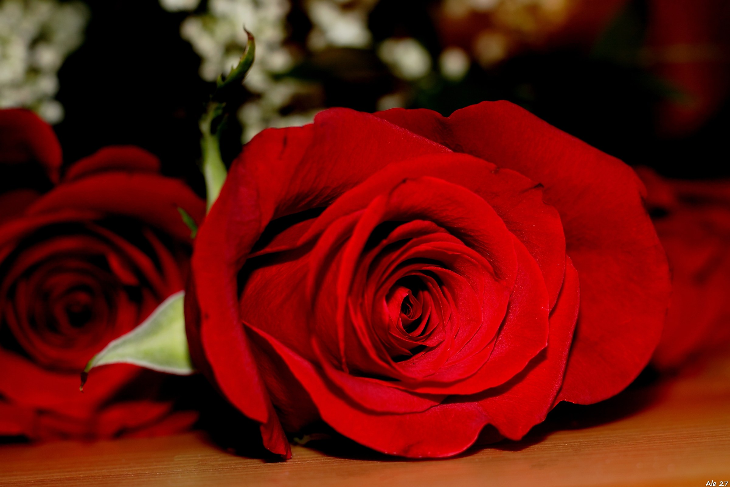 ... In February rose ..