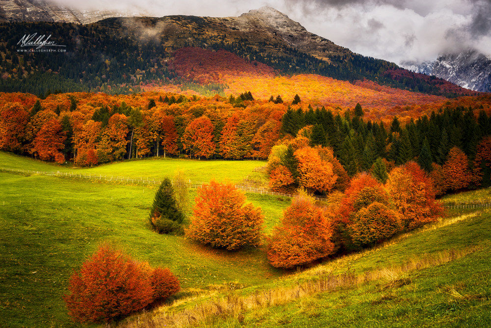 Profumo d'autunno a Col Indes