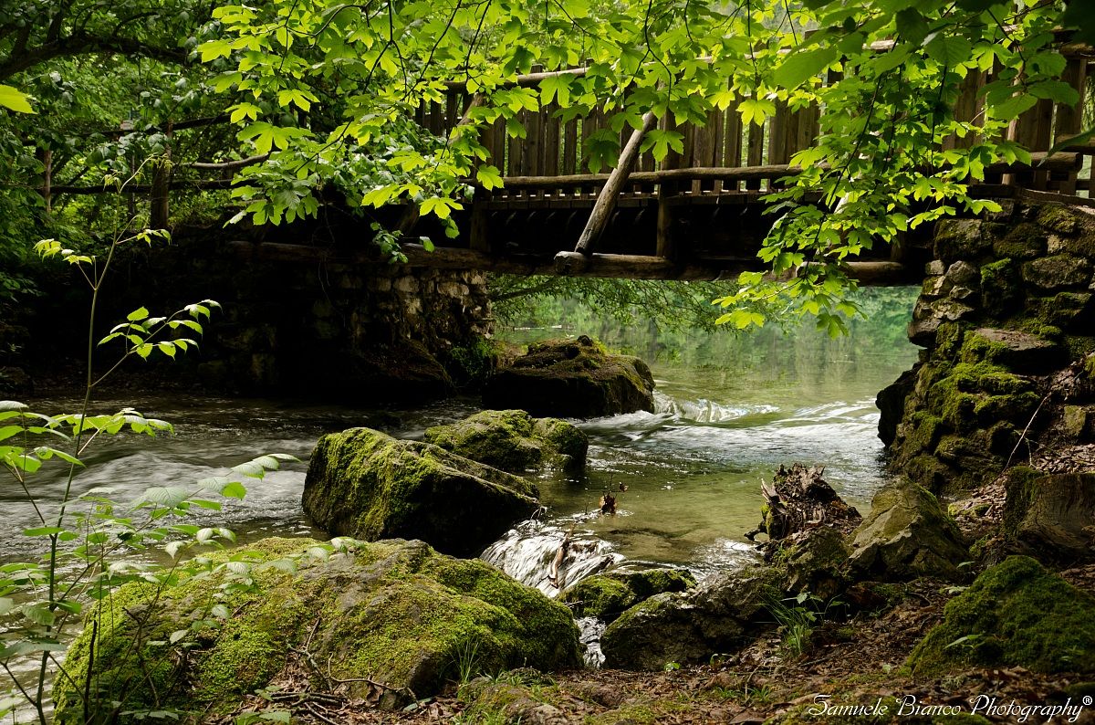 Stream from Lake Tovel