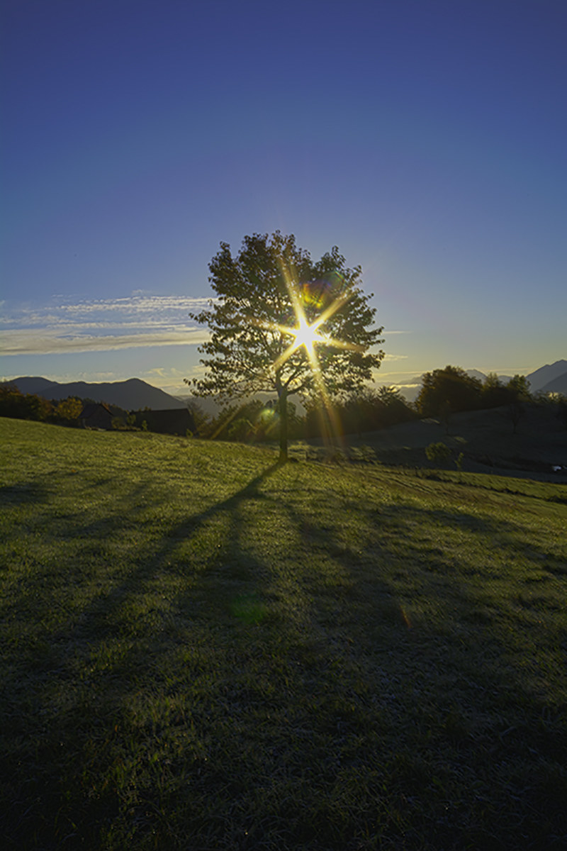 Dawn between lefronde