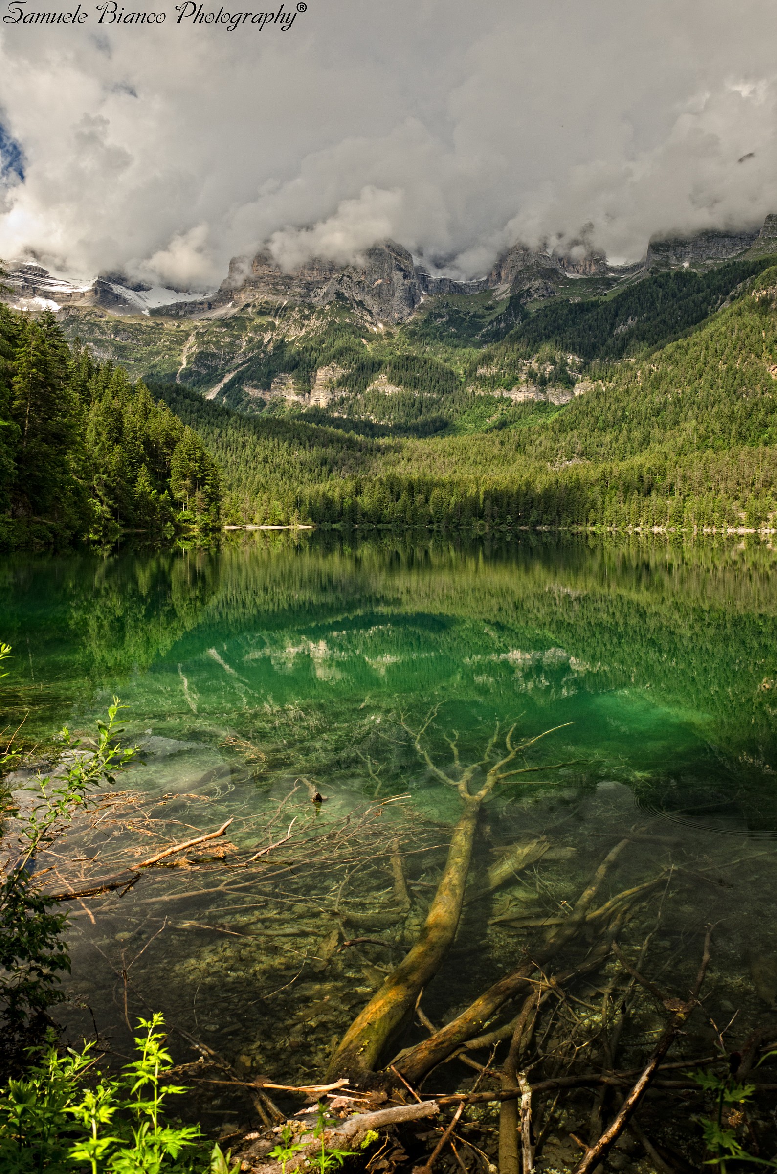 From water to sky Lake Tovel