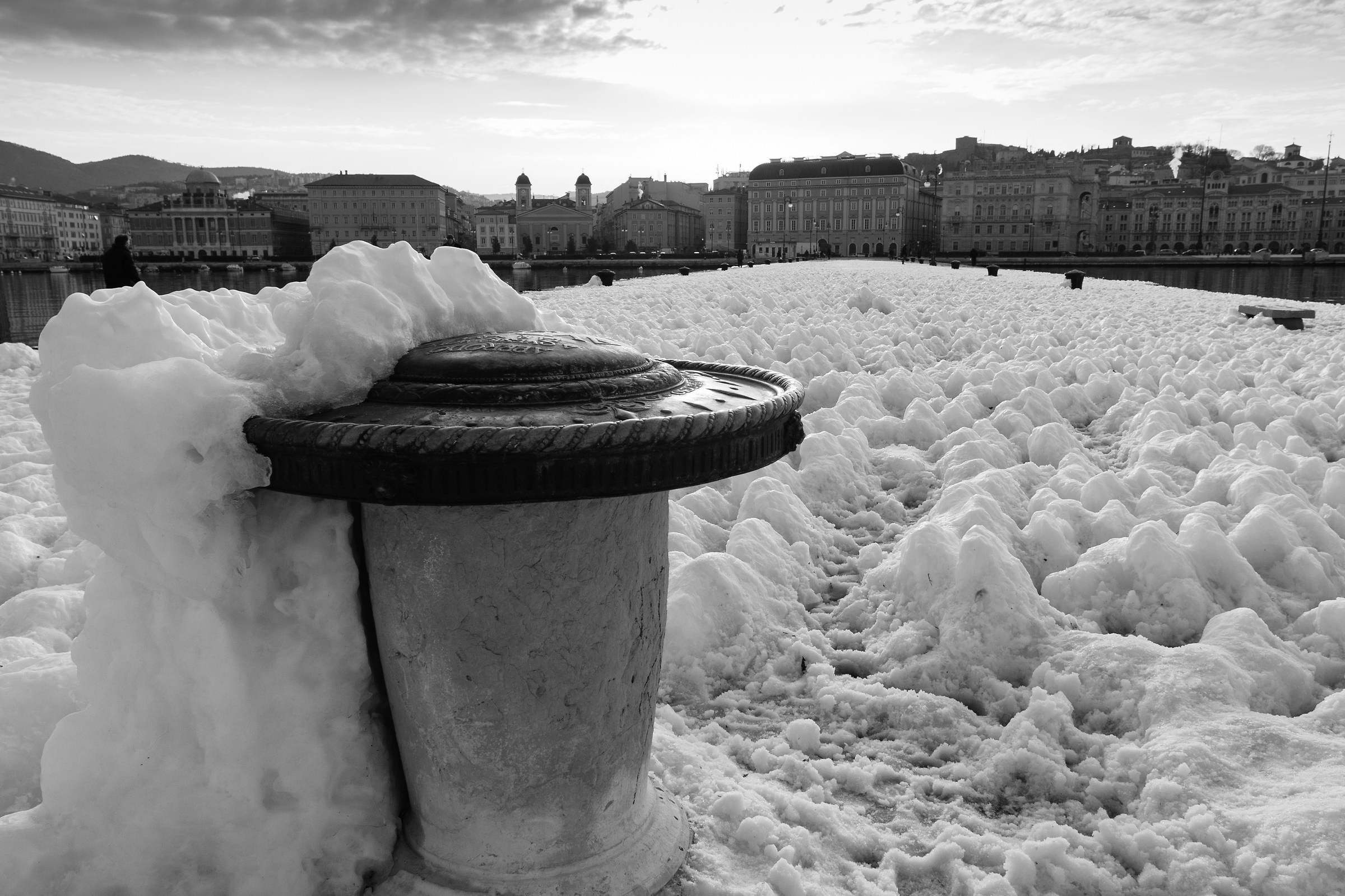 Molo Audace congelato 3