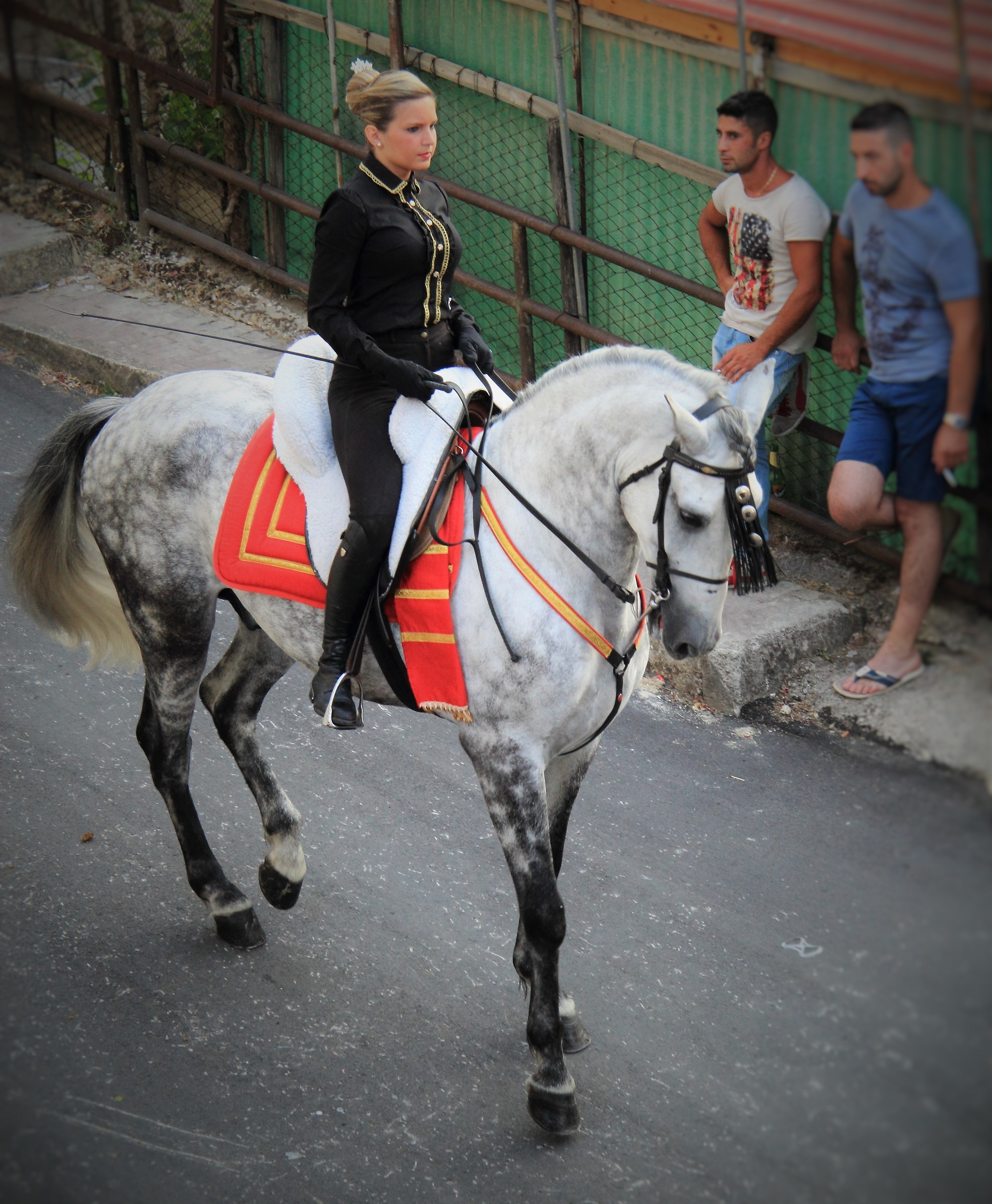 cavalcata madonna del carmelo