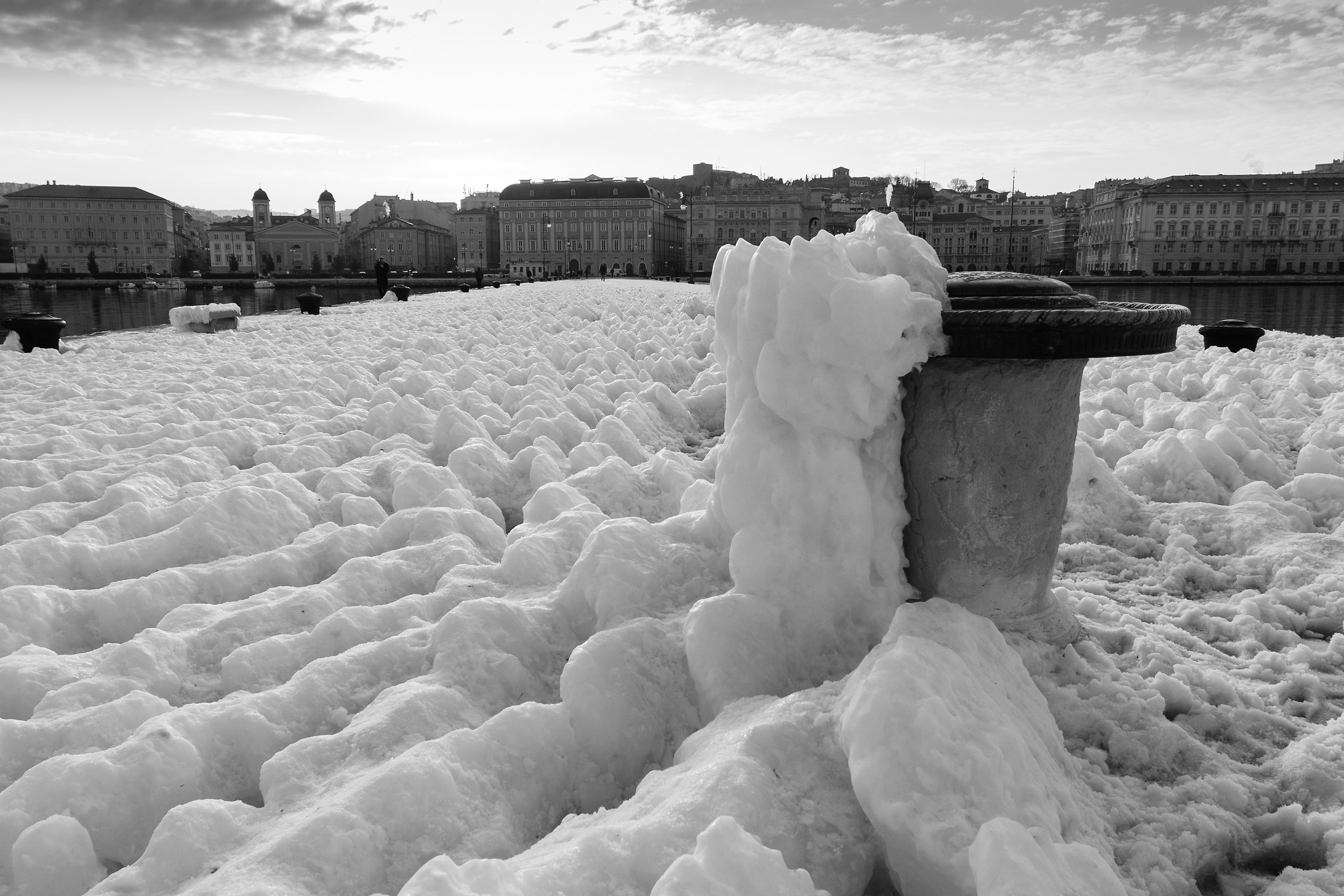 Molo Audace congelato 4