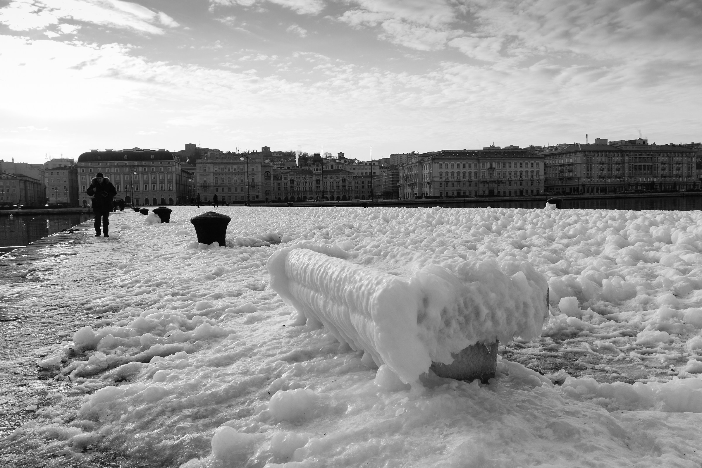 Molo Audace congelato 5