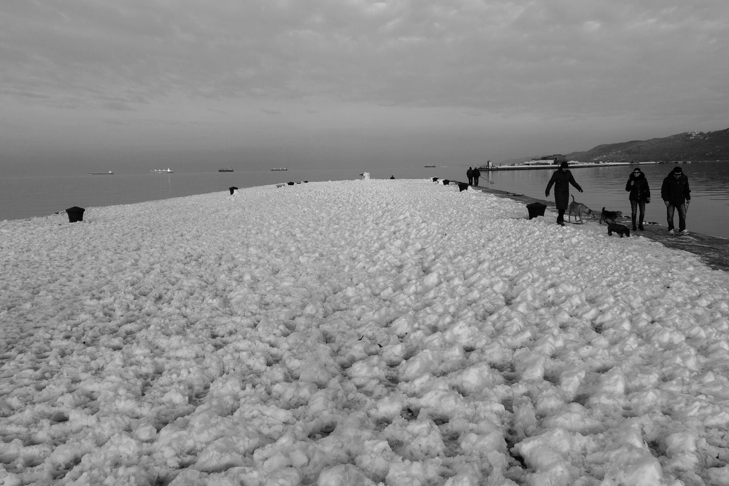 Molo Audace congelato 6