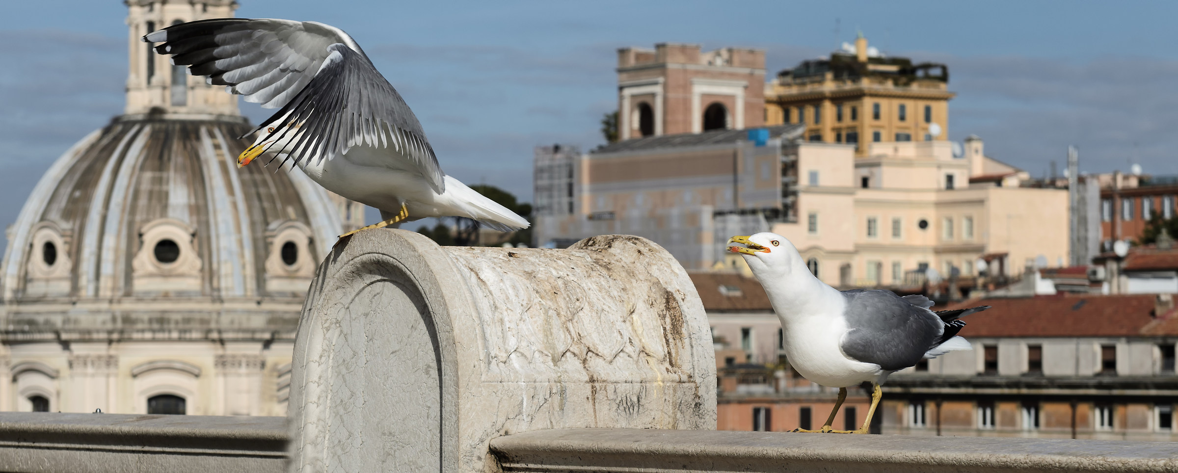 fratello, io canto e tu balli...