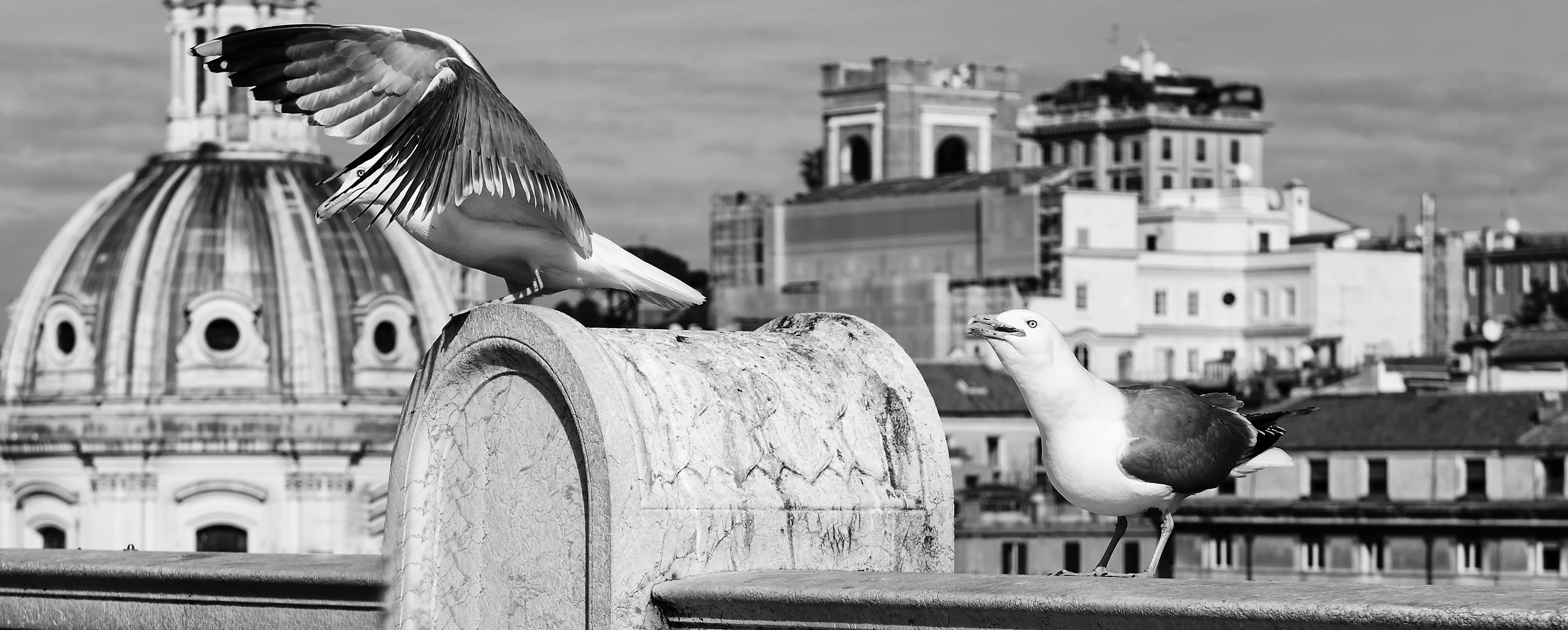 fratello, io canto e tu balli...