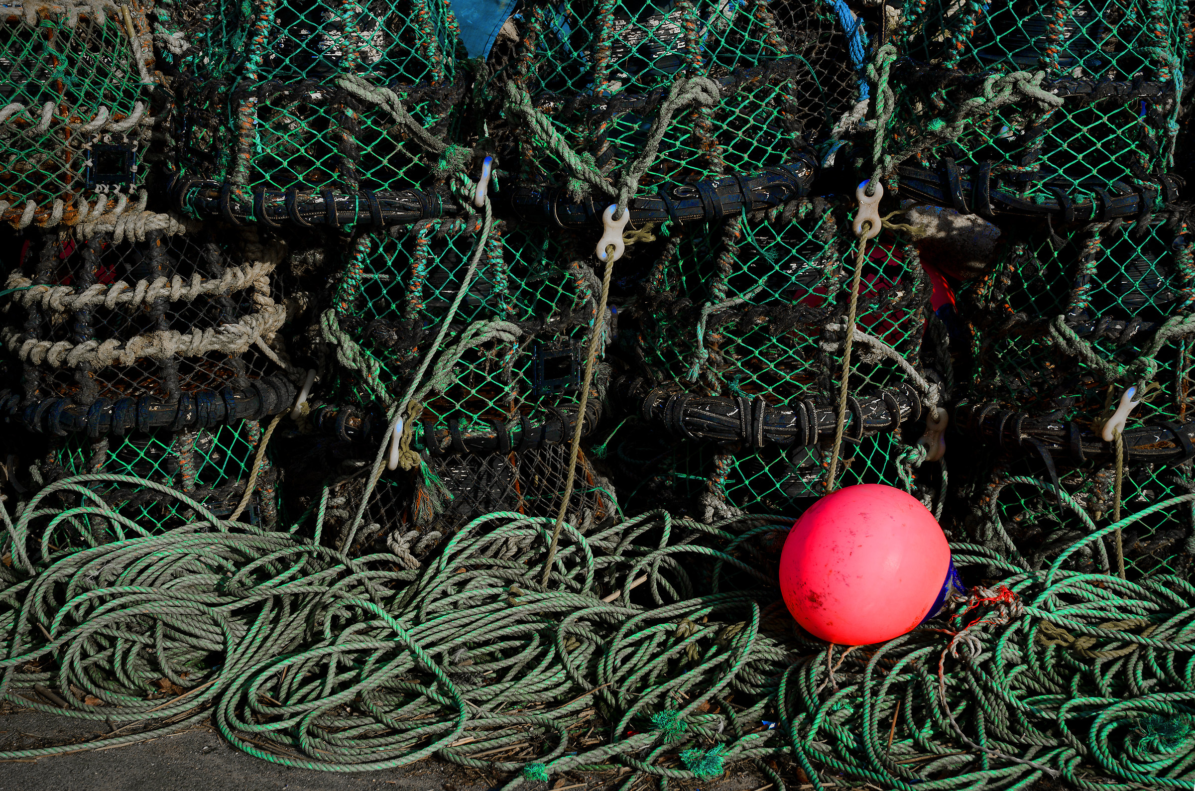 Nasse in luce del sole, Mudeford