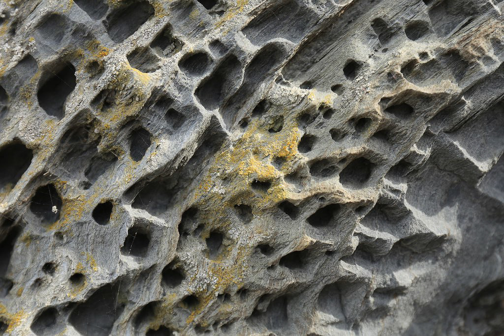 Small houses for bees