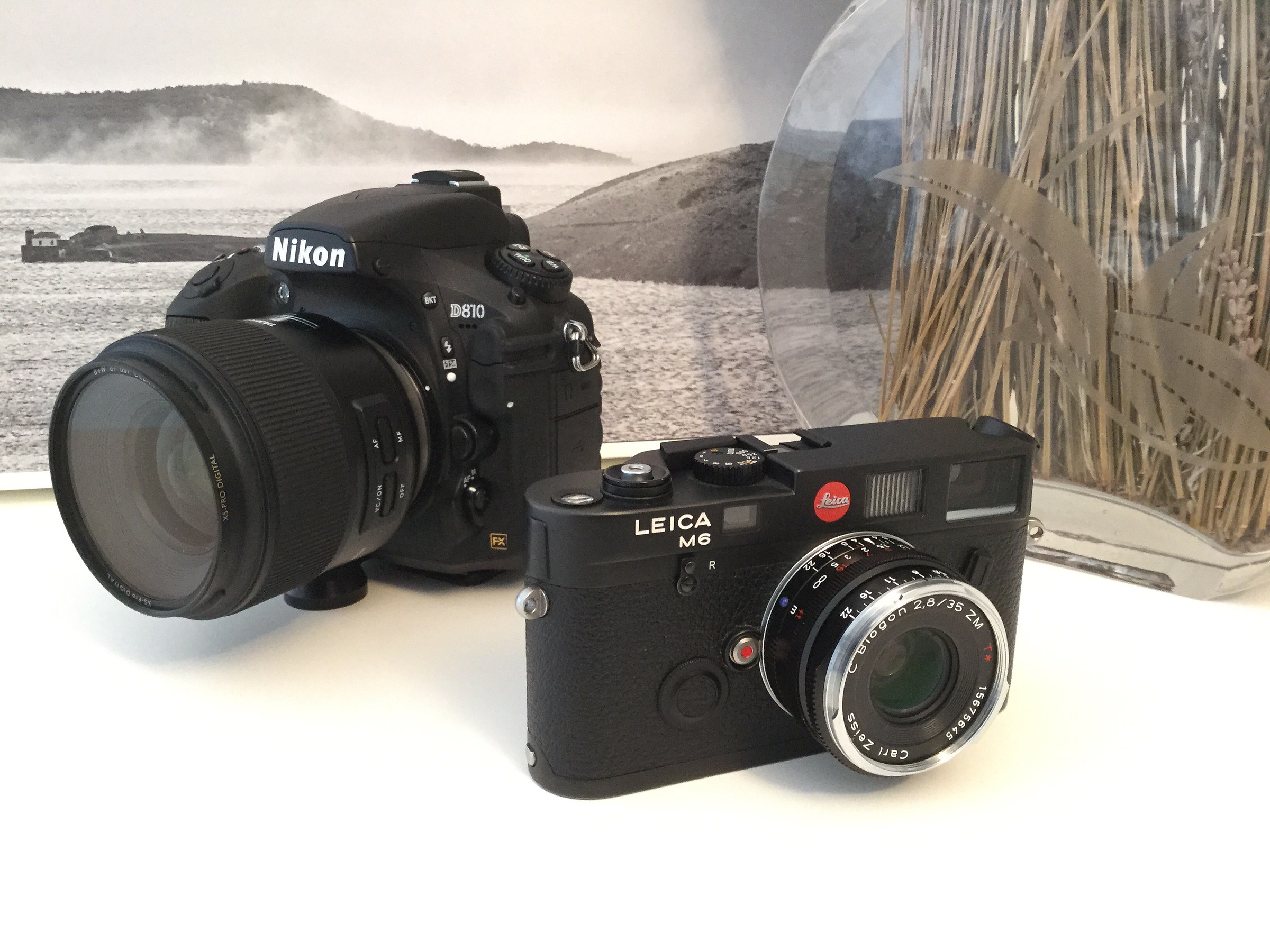 La bella e la bestia? :)