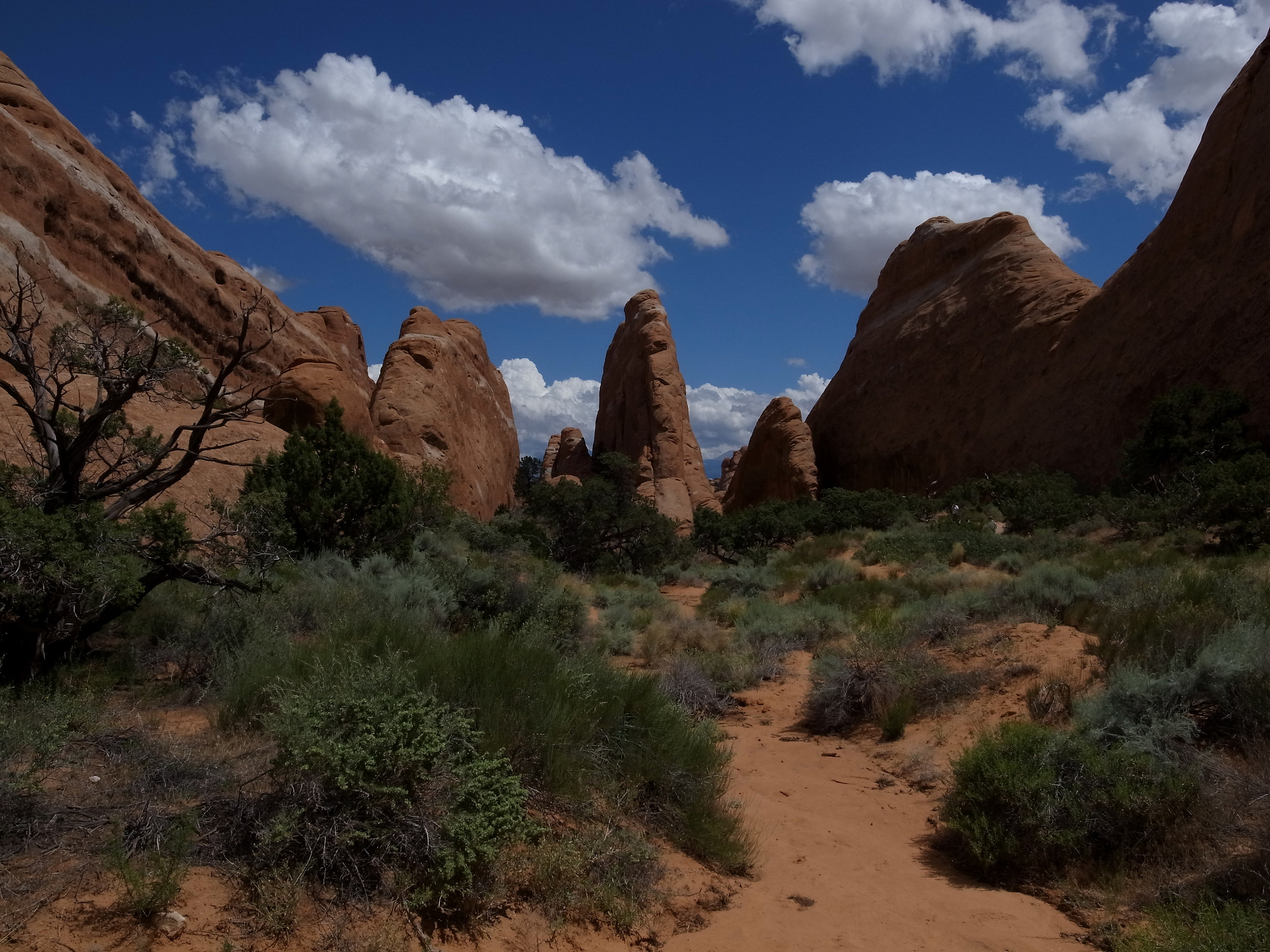 Arches National Park